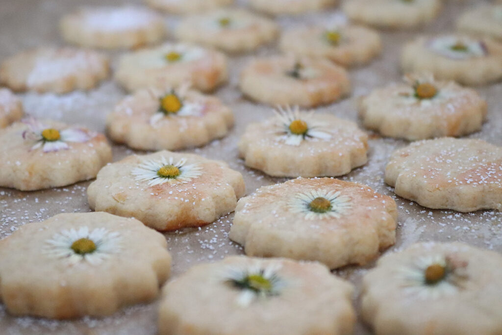 Blütenkekse - Rezept