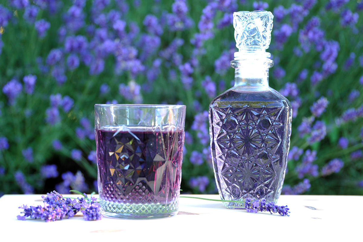 Der Lavendelsirup ist ein gesunder Durstlöscher, eignet sich zum Aufspritzen mit Mineral- oder Leitungswasser und schmeckt auch in Kombination mit Sekt.