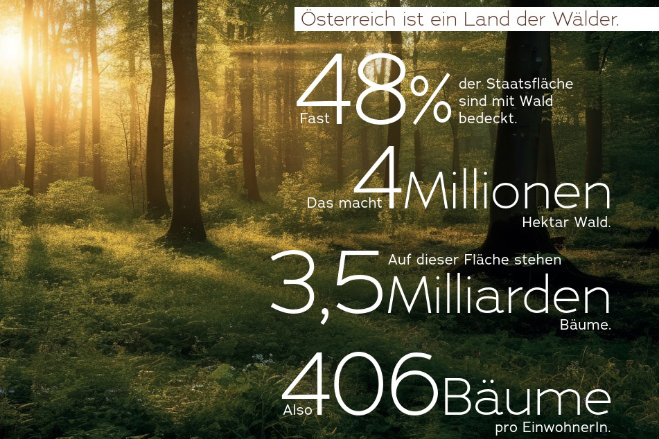 Österreich ist ein Land der Wälder