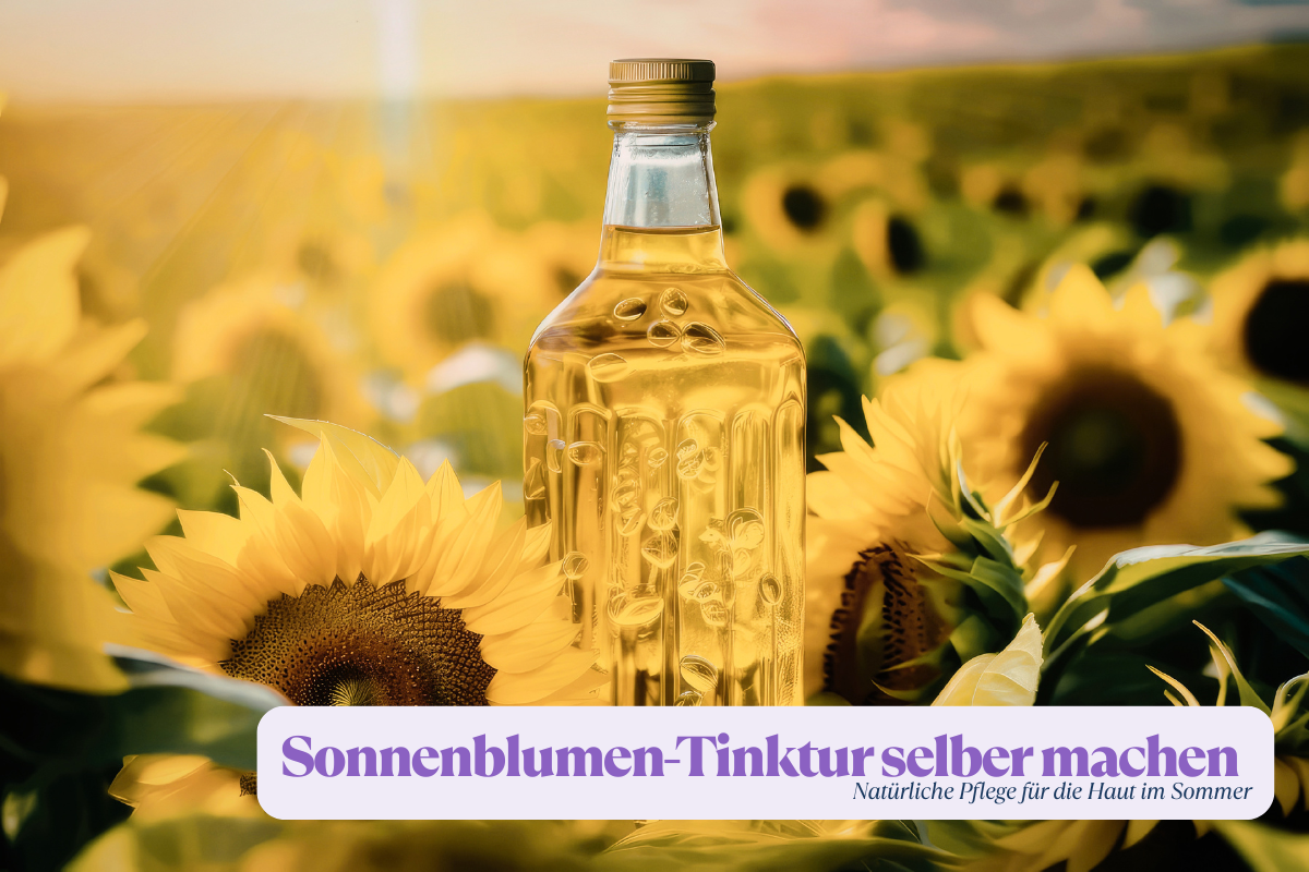 Sonnenblumentinktur