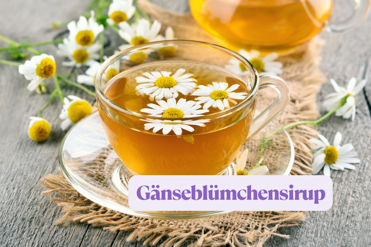 Gänseblümchensirup